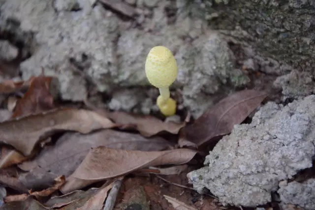 亮閣門窗|青春不朽，勇攀高峰；不登將軍亭，枉游北嶺山。